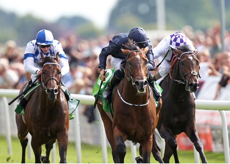 Declaration of War (center) captures the Juddmonte International Stakes from Trading Leather (right) and Al Kazeem (left) at York Racecourse in England.