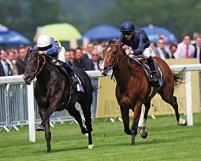 Manduro&#39;s defeat of Dylan Thomas (solid blue) in the Prince of Wales&#39;s has his connections thinking about the Breeder&#39;s Cup Classic.