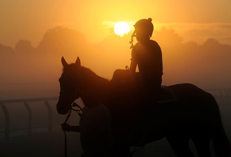 Horse and rider silhouetted by the rising sun.