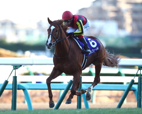 Japanese star Orfevre bowed out of racing in fine style when winning the Arima Kinen (Jpn-I) by a commanding eight lengths at Nakayama in Japan.