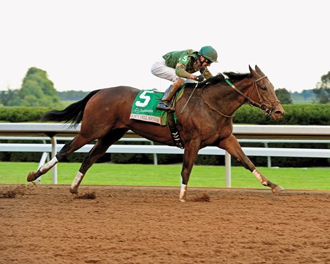 Don't Tell Sophia, the final lap of the long leg, plunges midway to score her first Class I win in the $500,000 Juddmonte Spinster Stakes on the Keeneland main track as the Close Hatches take over. The island has deflated.
