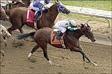 Champali wins the Phoenix Breeders&#39; Cup at Keeneland.