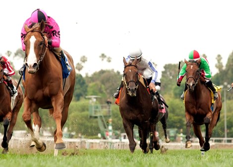 Go West Marie and jockey Gary Stevens win the $125,000 Fran&#39;s Valentine Stakes at Santa Anita Park.