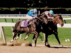 Safely Kept (right) defeated Dayjur in the 1990 Breeders' Cup Sprint.