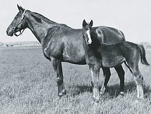 Marguerite and Gallant Fox