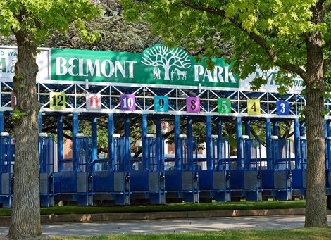 Caption:  starting gate in front of clubhouse Scenes and horses on track in preparation for Belmont Stakes day on June 6, 2015, in Elmont, N.Y. Belmont2015Works5_30_15 image164 Photo by Anne M. Eberhardt