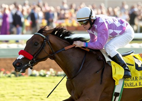 Sharla Rae rebounded from a disappointing seventh last time out in the Belmont Oaks Invitational Stakes (gr. IT), and notched her first graded victory with a win in the $300,000 Del Mar Oaks (gr. IT) at Del Mar.