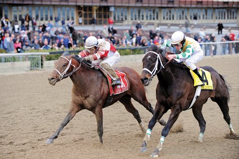 Kodiak Kowboy battles down the stretch to win the 2009 Carter Handicap (gr. 1) at Aqueduct.