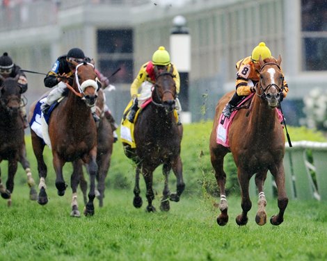 Wise Dan, Jose Lezcano up, wins the Woodford Reserve Turf Classic 2013 Churchill Downs, Louisville, KY 