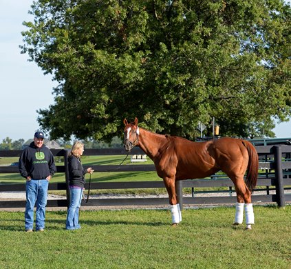 Wise Dan with Charlie and Amy LoPresti at Keeneland, near Lexington, KY.