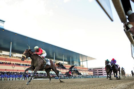 Wicked Strong and jockey Rajiv Maragh overpower the rest of the field in the Wood Memorial Stakes (gr. 1) at Aqueduct on April 5, 2014.