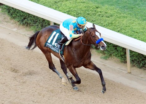 BODEMEISTERThe Arkansas Derby - Grade I - 76th RunningHot Springs, Arkansas4/14/2012Purse $1,000,0001-1/8 Miles  1:48.3Zayat Stables, LLC, OwnerBob Baffert, TrainerMike Smith, JockeySecret Circle (2nd)Sabercat (3rd)$6.80  $4.60  $3.60  Please Give Photo Credit To:      Coady Photography /  Will Kenser (Aerial)Coady Photography / Jeff Coady (Finish)Coady Photography / Corey Zamora (Inside Tight Coady Photography / Sunny Taylor (Inside)