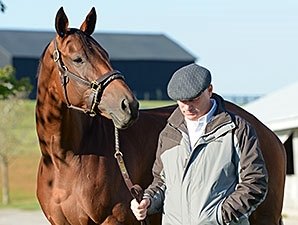 Beholder and Mandella at Keeneland, October 21, 2015.