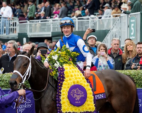 Tepin wins the 2015 Breeders'  Cup Mile