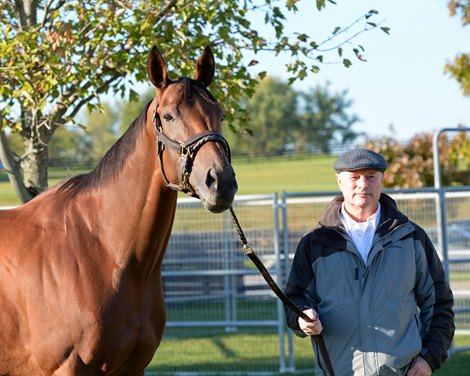 Beholder with Richard Mandella. Morning scenes at Keeneland for Breeders' Cup on Oct. 21, 2015.