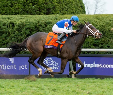 Tepin wins the 2015 Breeders&#39; Cup Mile