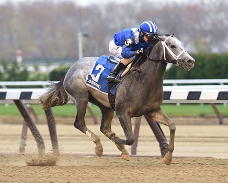 Shadwell Stable's Mohaymen stayed unbeaten and added a second straight graded stakes to his record when drawing away to a clear win in the $300,000 Remsen Stakes (gr. II) for 2-year-olds at Aqueduct Racetrack.