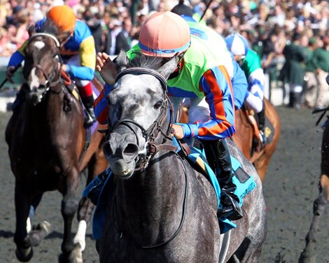 FRAC DADDY  The Ben Ali Stakes Gr III - 84th Running Keeneland Race Course   Lexington, Kentucky April 19, 2014 Purse $150,000 1-1/8 Miles  1:45.61 Magic City Thoroughbred Partners, Owner Kenneth G. McPeek, Trainer Alan Garcia, Jockey Stealcase (2nd) Nikki&#39;s Sandcastle (3rd) $13.20 $6.80 $5.00 Order of Finish - 9, 2, 3, 10 Please Give Photo Credit To:  / Coady Photography