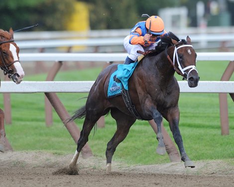 Stay Thirsty charges for home holding off Rattlesnake Bridge to win the 2011 Travers Stakes