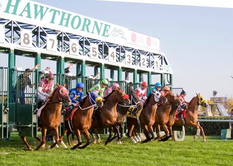 Start of the Hawthorne Derby.