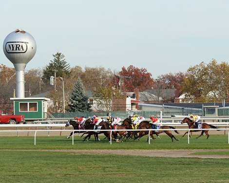 With the benefit of a perfect ground-saving trip under John Velazquez, Aigue Marine rallied up the rail to catch favored Danza Cavallo in the $200,000 Long Island Handicap (gr. IIIT) on yielding turf Nov. 8, 2014 at Aqueduct Racetrack.<br><br />
Photo by: Joe Labozzetta/NYRA