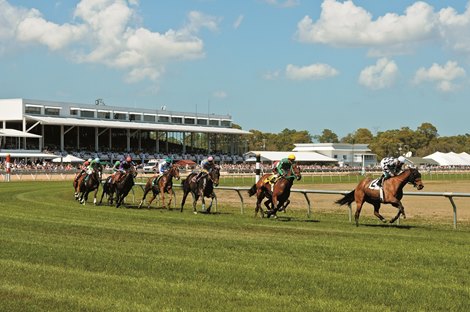 Tampa Bay Downs; Scene; Scenic; First Turn; Grandstand Tampa Bay Downs; Scene; Scenic; First Turn; Grandstand
