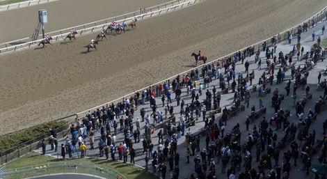 A nice crowd attended Wood Memorial Day at Aqueduct April 5, 2014.  Photo by Skip Dickstein