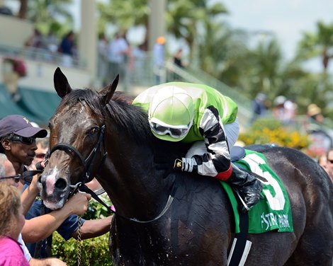 Valid wins the 2016 Skip Away Stakes.