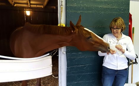 Breeder Carolyn Gray feeds a peppermint to I&#39;m a Chatterbox the morning before her 2016 debut.