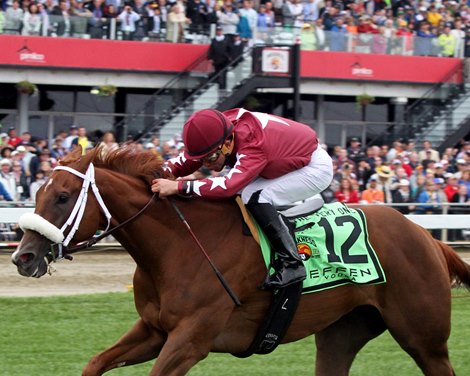 Lady Shipman with Joel Rosario win The Very One Stakes at Pimlico on May 21, 2016. Photo By: Chad B. Harmon