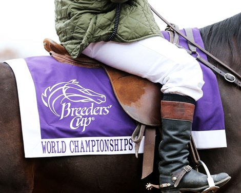 Breeders' Cup Generic