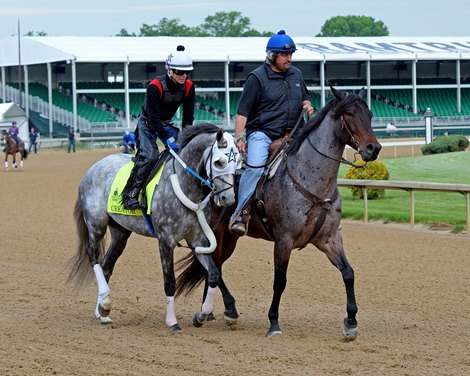 Creator, Steve Asmussen at Churchill Downs on May 4, 2016, in Louisville, Ky. <br><br />
