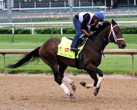 Dazzling Gem on the track at Churchill Downs on May 3, 2016.