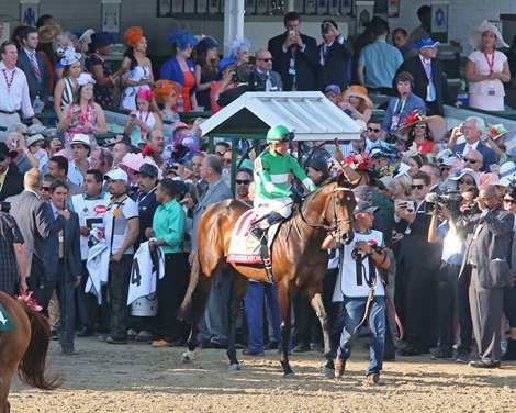 Exaggerator during the Kentucky Derby post parade