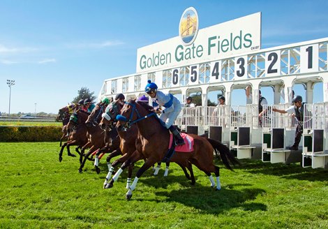 Golden Gate Fields Scene