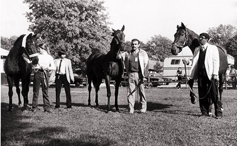 In October of 1983, after enjoying seventeen years of retirement Kelso joined two other grand geldings, John Henry (center) and Forego (right) at Belmont Park for the Jockey Club Gold Cup Festivities.