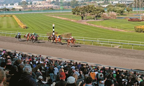 Golden Gate Fields Scene