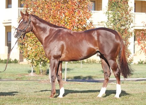 Written Tycoon Conformation