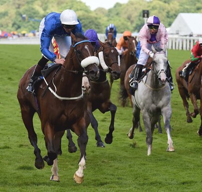 Portage (IRE) wins the Royal Hunt Cup (Heritage Handicap) at Royal Ascot June 15, 2016