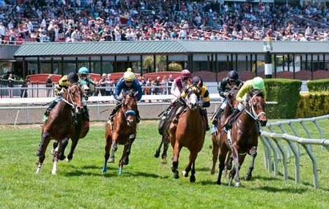 Golden Gate Fields Scene