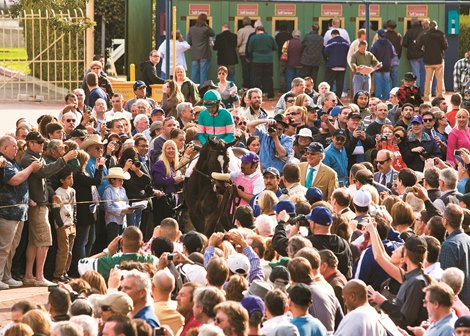Zenyatta carries Mike Smith to the race track before winning the Grade I $250,000 Santa Margarita Invitational Stakes Saturday, March 13, 2010 at Santa Anita Park, Arcadia, CA.  <br><br />
