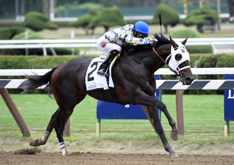 Laoban wins the 2016 Jim Dandy. 