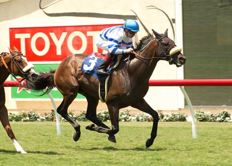 Trojan Nation wins race 1 at Del Mar July 31, 2016.