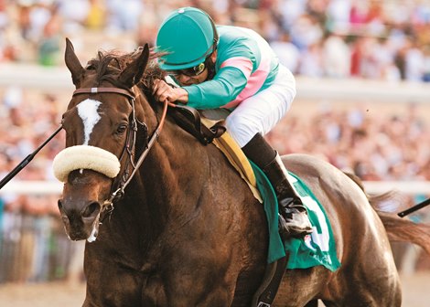 Zenyatta wins the 2010 Clement L. Hirsch Stakes