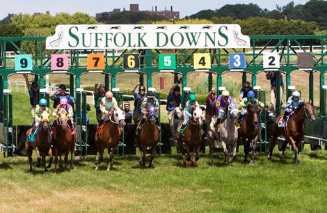 Suffolk Downs Generic