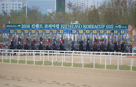 Chrysolite wins the Keeneland Korea Cup on Sept. 11, 2016.<br><br />
Photo courtesy of Ross Holburt