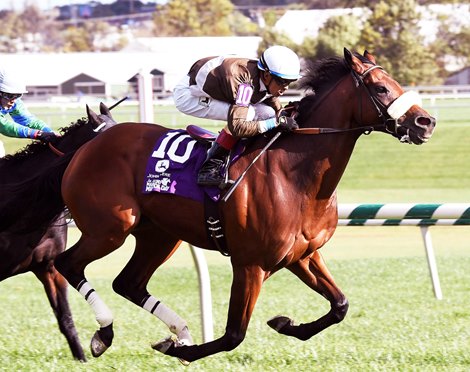 Phlash Phelps wins the 2016 Maryland Million Turf Stakes