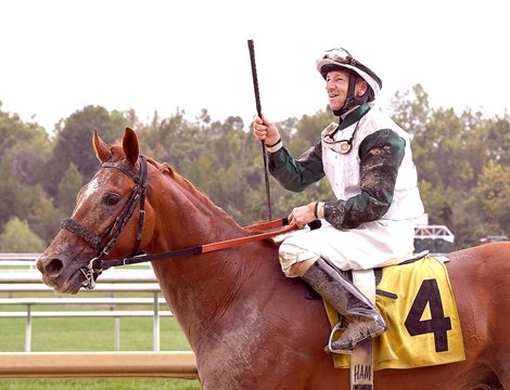 Jockey Steve ‘Cowboy’ Hamilton