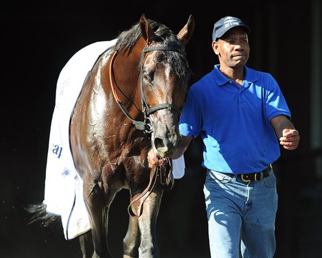 Effinex winner of the  2015 Suburban Handicap at Belmont Park