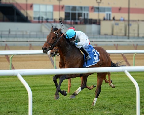 Macagone wins the 2016 Artie Schiller Stakes.